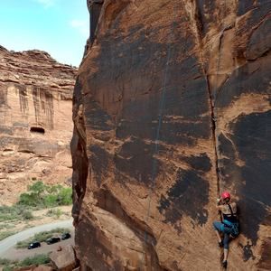 Meet your Posher, Lia